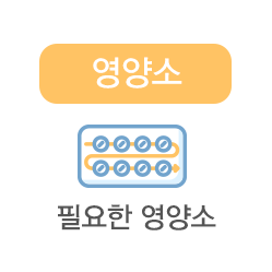 main03_box2